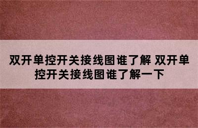 双开单控开关接线图谁了解 双开单控开关接线图谁了解一下